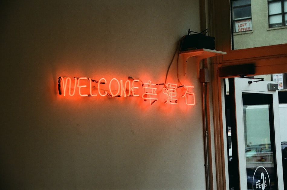 Read more about the article Customizing Your WordPress Theme